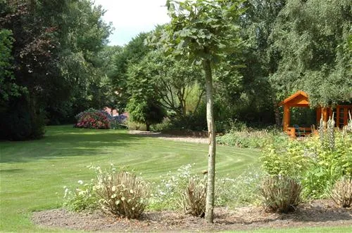 kampeertuin-de-kikkerberg-oldambt-q1zai