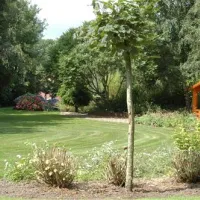 kampeertuin-de-kikkerberg-oldambt-q1zai