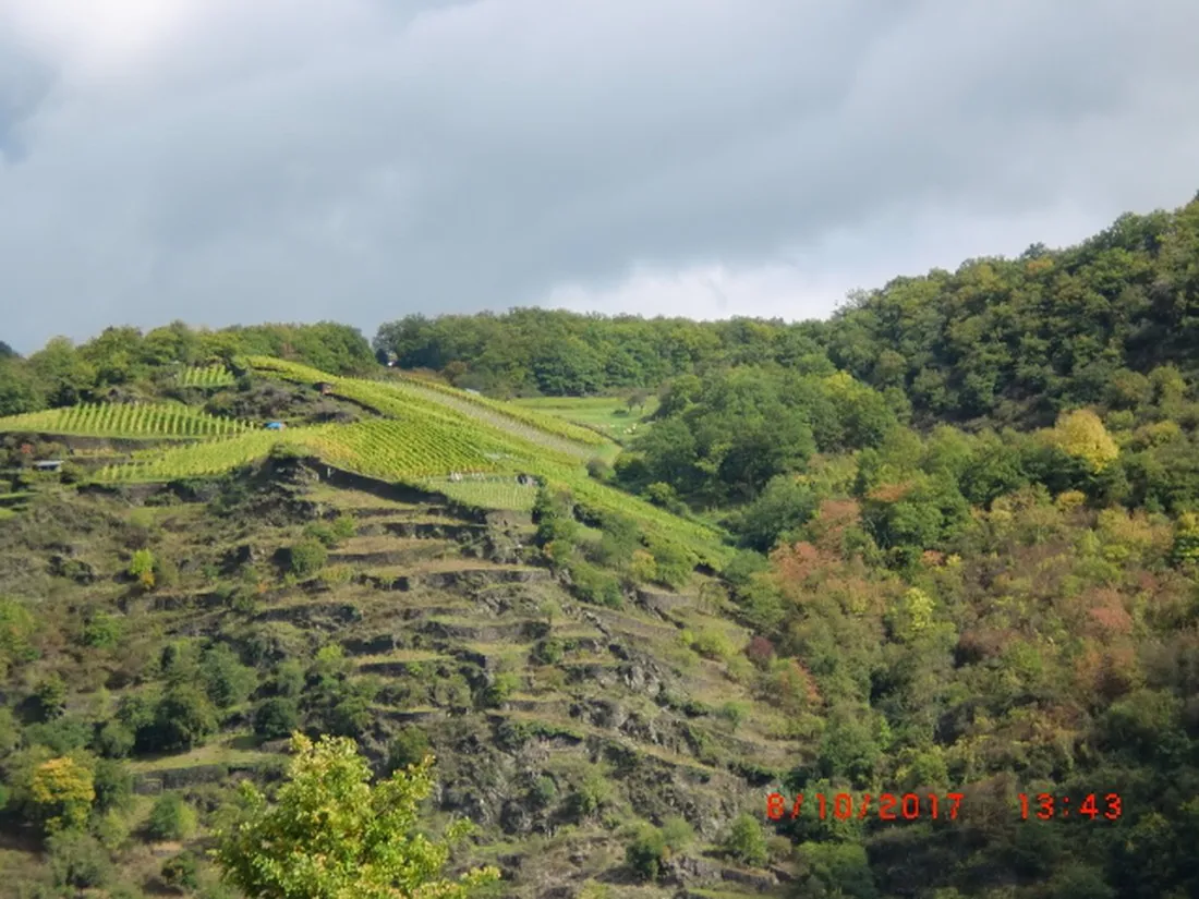 camping-loreleyblick-st-goar-0pxs2