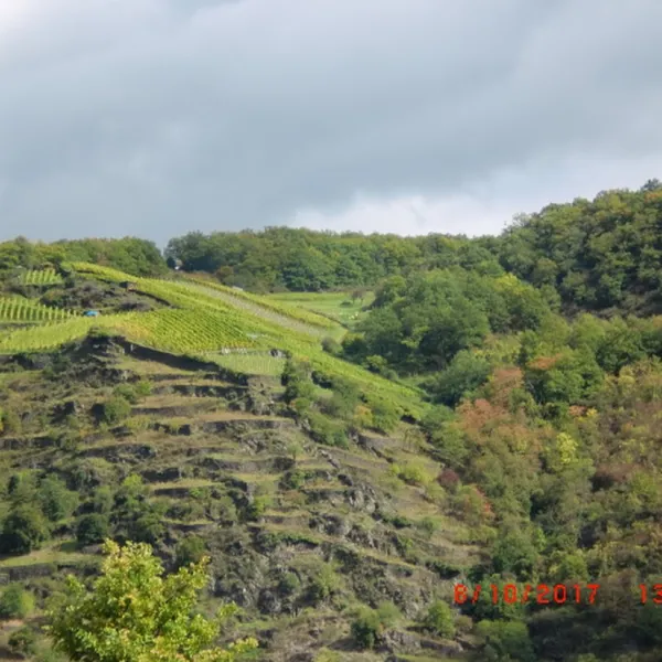 camping-loreleyblick-st-goar-0pxs2