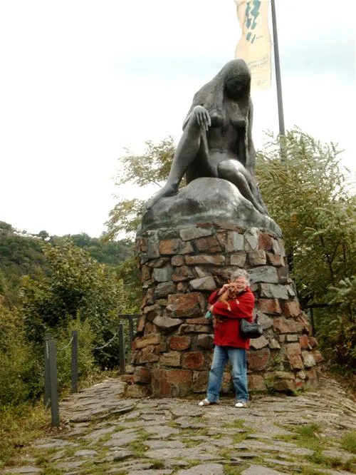 camping-loreleyblick-st-goar-arid0