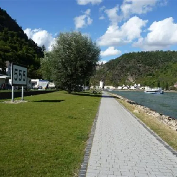 camping-loreleyblick-st-goar-bfrad