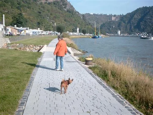 camping-loreleyblick-st-goar-of76u