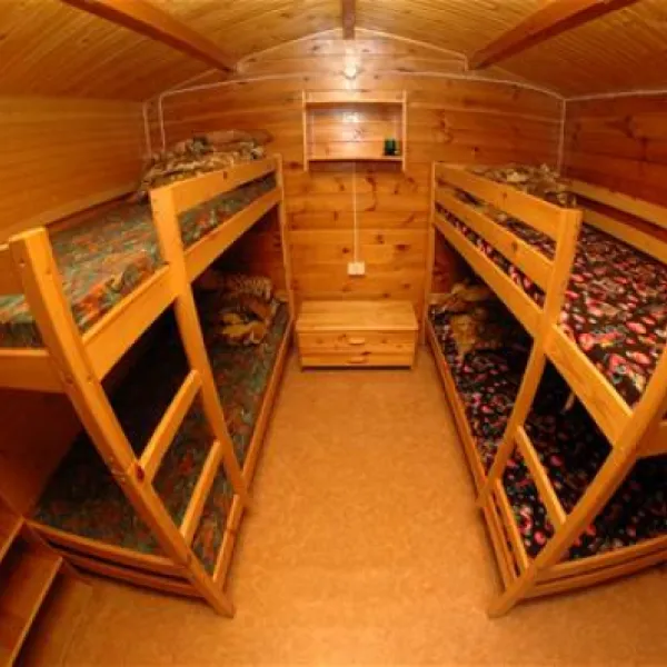 camping-wok-warszawa-warszawa-8dkgn