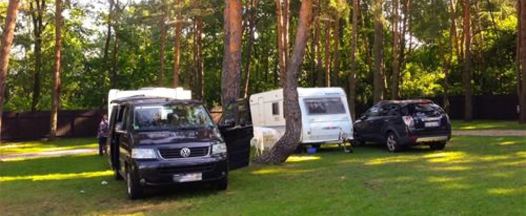 Camping WOK Warszawa