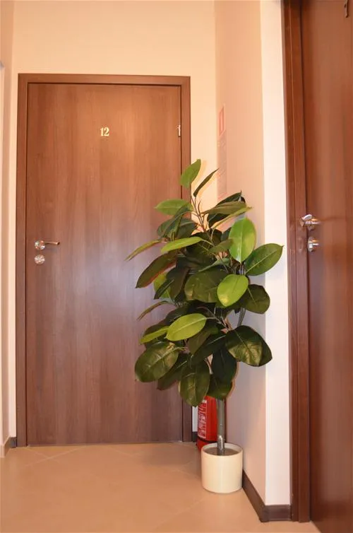 camping-wok-warszawa-warszawa-kt8ep