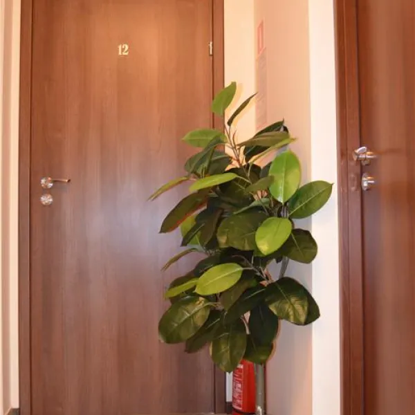 camping-wok-warszawa-warszawa-kt8ep