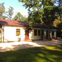 camping-wok-warszawa-warszawa-morxf