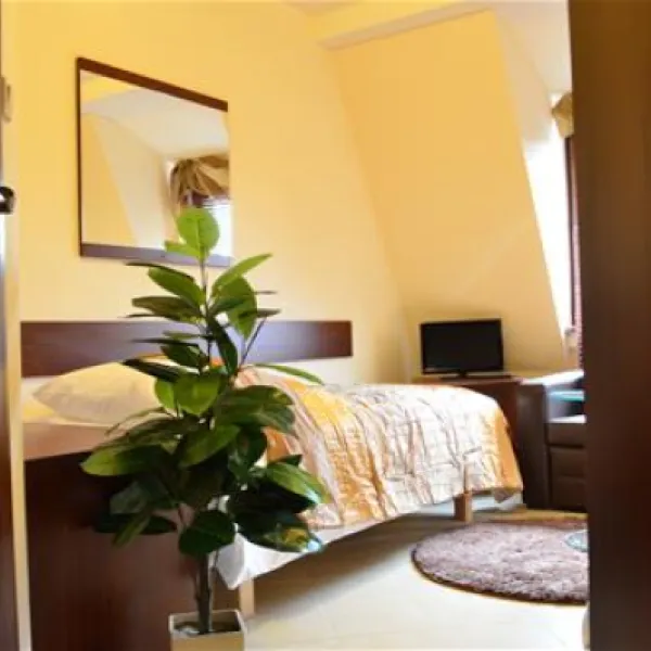 camping-wok-warszawa-warszawa-qdefy