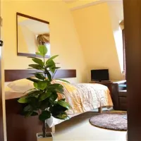 camping-wok-warszawa-warszawa-qdefy