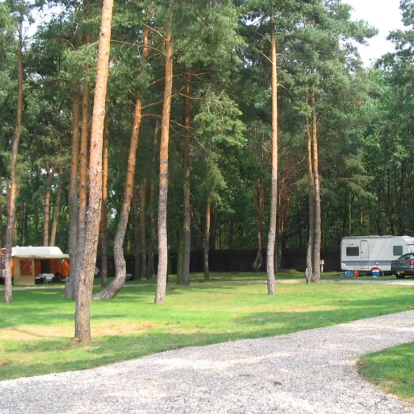 Camping WOK Warszawa