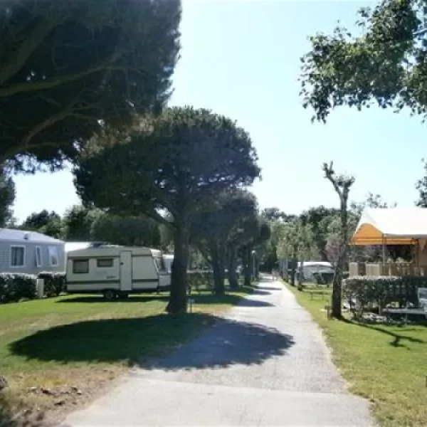 camping-de-kerabus-carnac-rouie