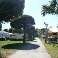 camping-de-kerabus-carnac-rouie