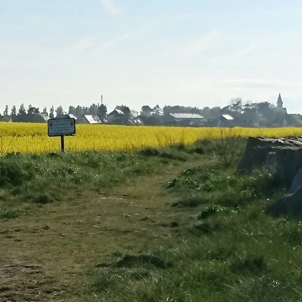 camping-aire-naturelle-de-pinchon-bernard-cricqueville-en-bessin-3n8p0