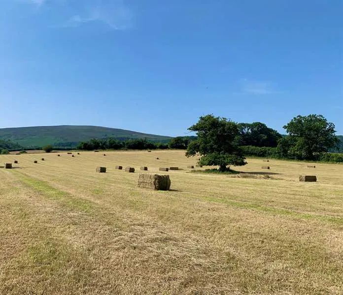 porlock-caravan-park-minehead-bxodc