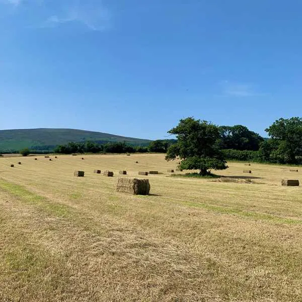 porlock-caravan-park-minehead-bxodc