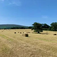 porlock-caravan-park-minehead-bxodc