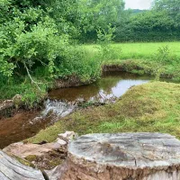 porlock-caravan-park-minehead-cdnsj