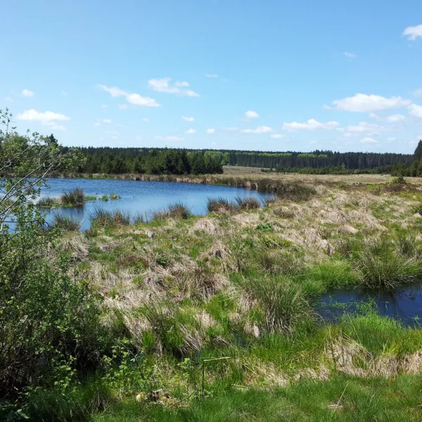 eurocamping-lamormenil-lamormenil-manhay-xvw5q