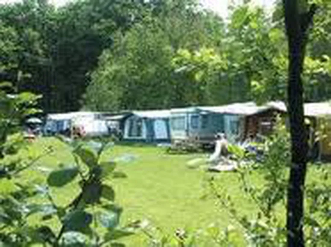 camping-t-wisentbos-dronten-6cs6k