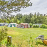 guldager-camping-saltum-bouq4