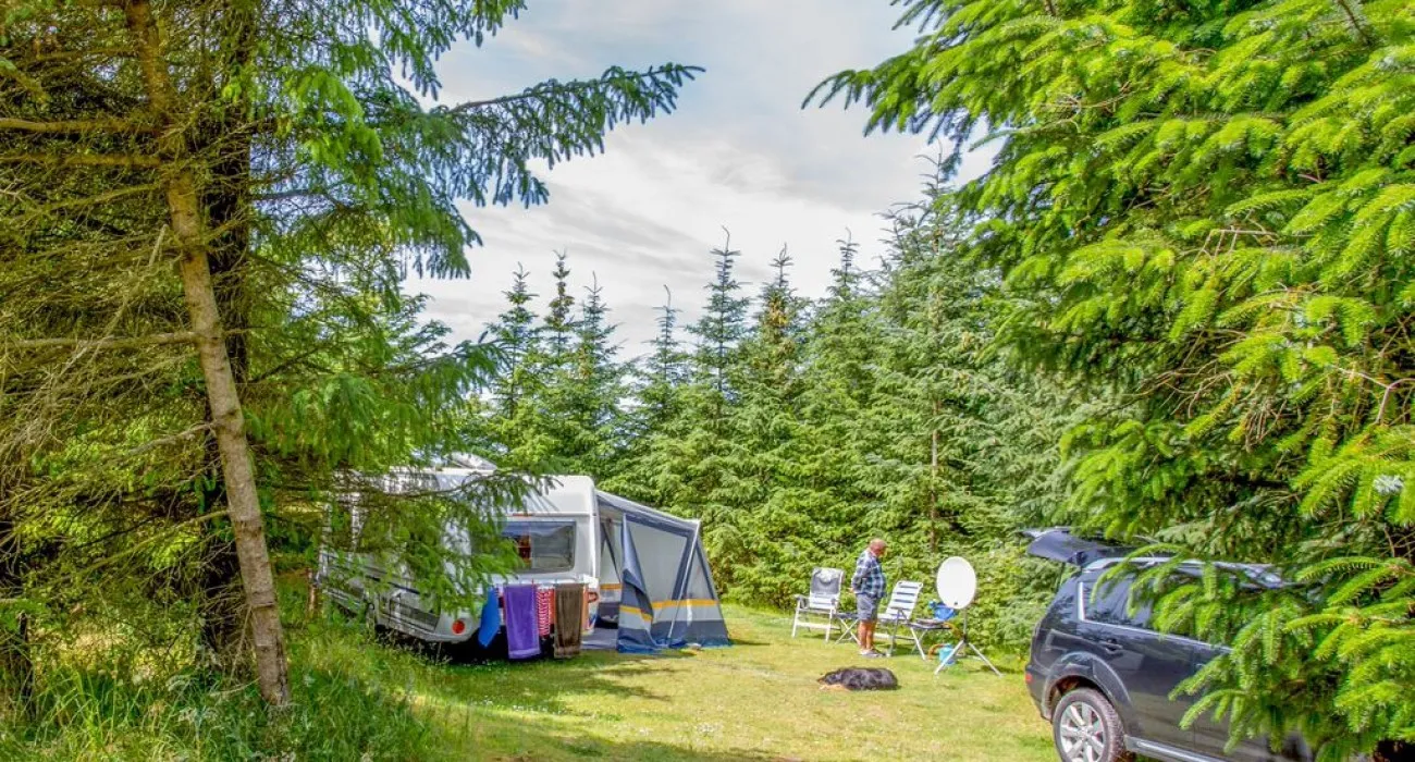 guldager-camping-saltum-enrop