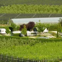 camping-obstgarten-kurtatsch-xuwts