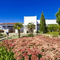 zaton-holiday-resort-nin-ohvt6
