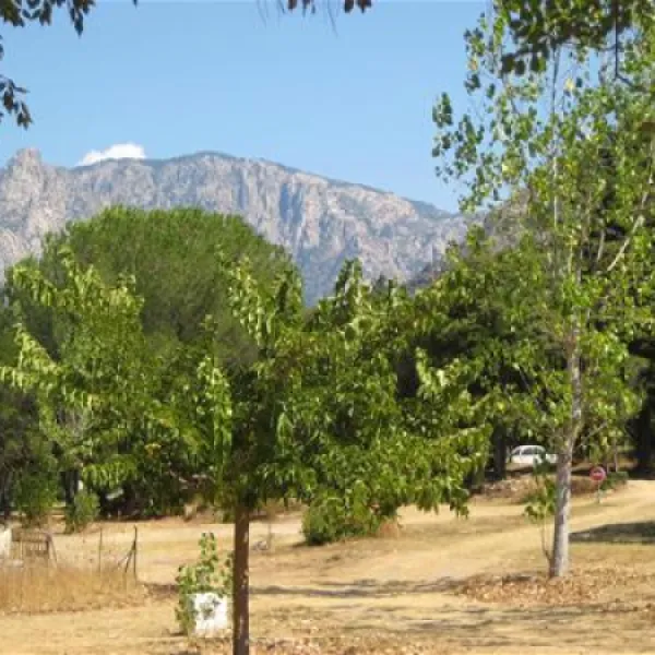 camping-truggia-lopigna-s3jq0