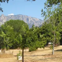 camping-truggia-lopigna-s3jq0