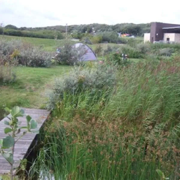 resort-land-zee-scharendijke-spics