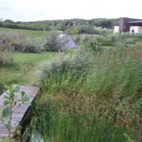 resort-land-zee-scharendijke-spics