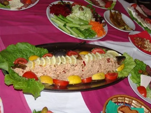 autocamp-livadiste-struga-mogu7