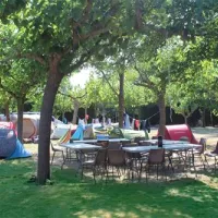 camping-la-pineda-de-salou-la-pineda-5yget