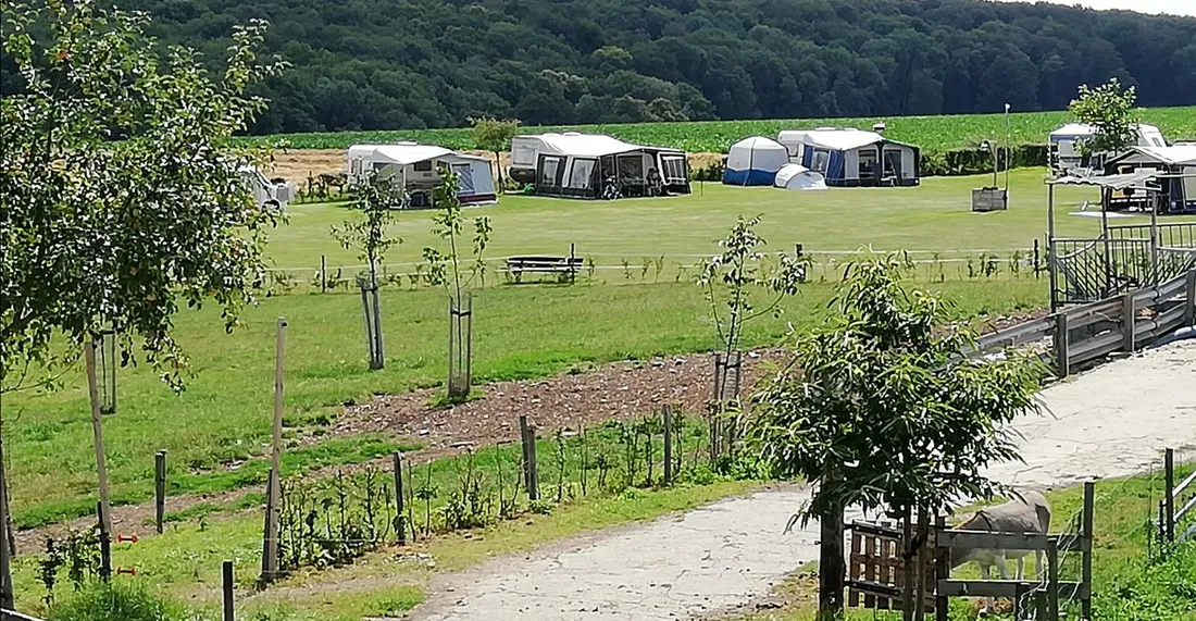 boerderijcamping-berghemmerhof-gulpen-ek9uh