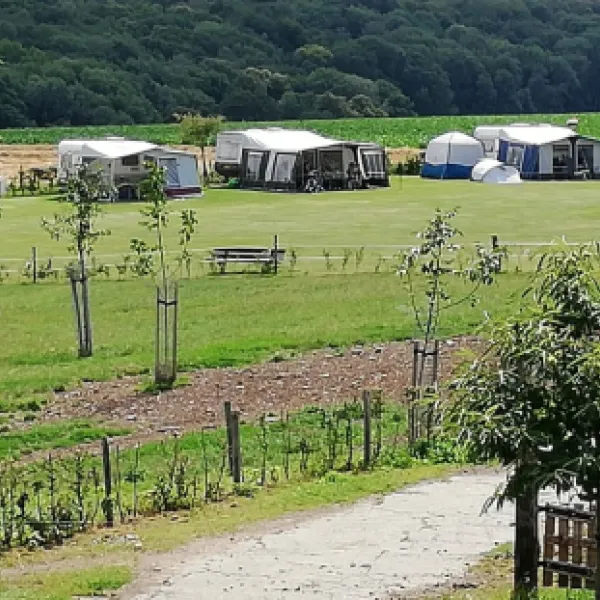 boerderijcamping-berghemmerhof-gulpen-ek9uh