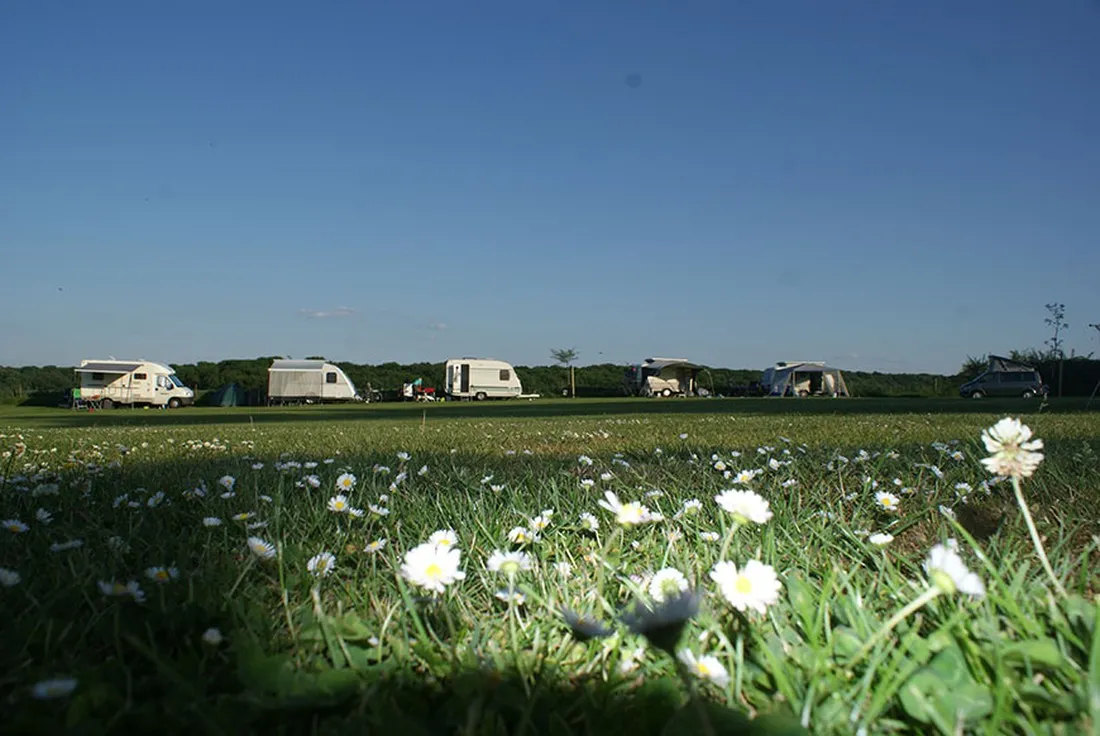 boerderijcamping-berghemmerhof-gulpen-j5u32