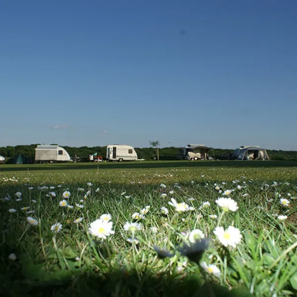 boerderijcamping-berghemmerhof-gulpen-j5u32