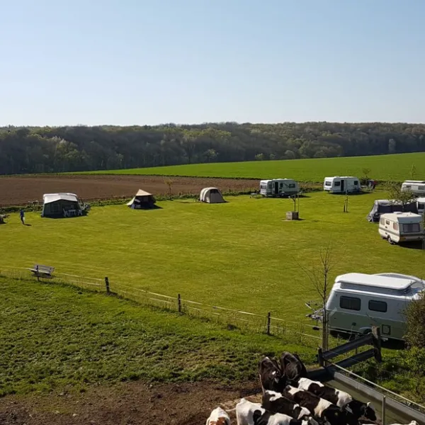 boerderijcamping-berghemmerhof-gulpen-tp4wq