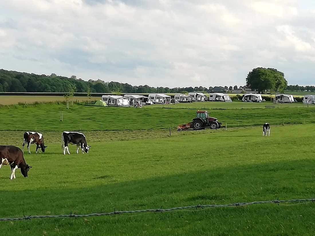 boerderijcamping-berghemmerhof-gulpen-um8jn