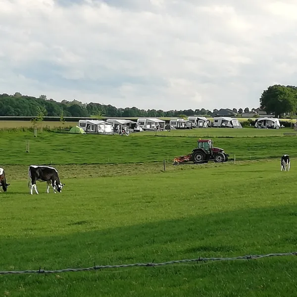 boerderijcamping-berghemmerhof-gulpen-um8jn