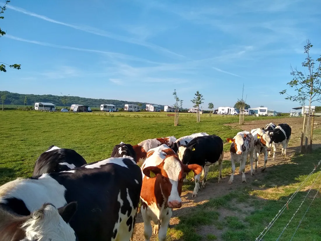 boerderijcamping-berghemmerhof-gulpen-utwcl