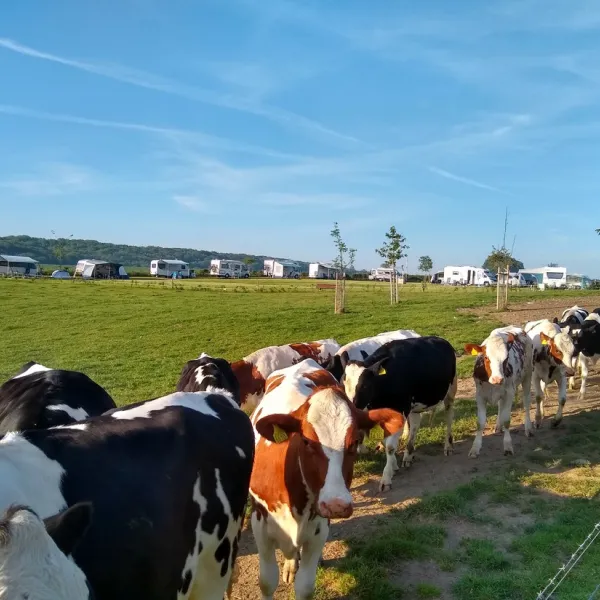 boerderijcamping-berghemmerhof-gulpen-utwcl