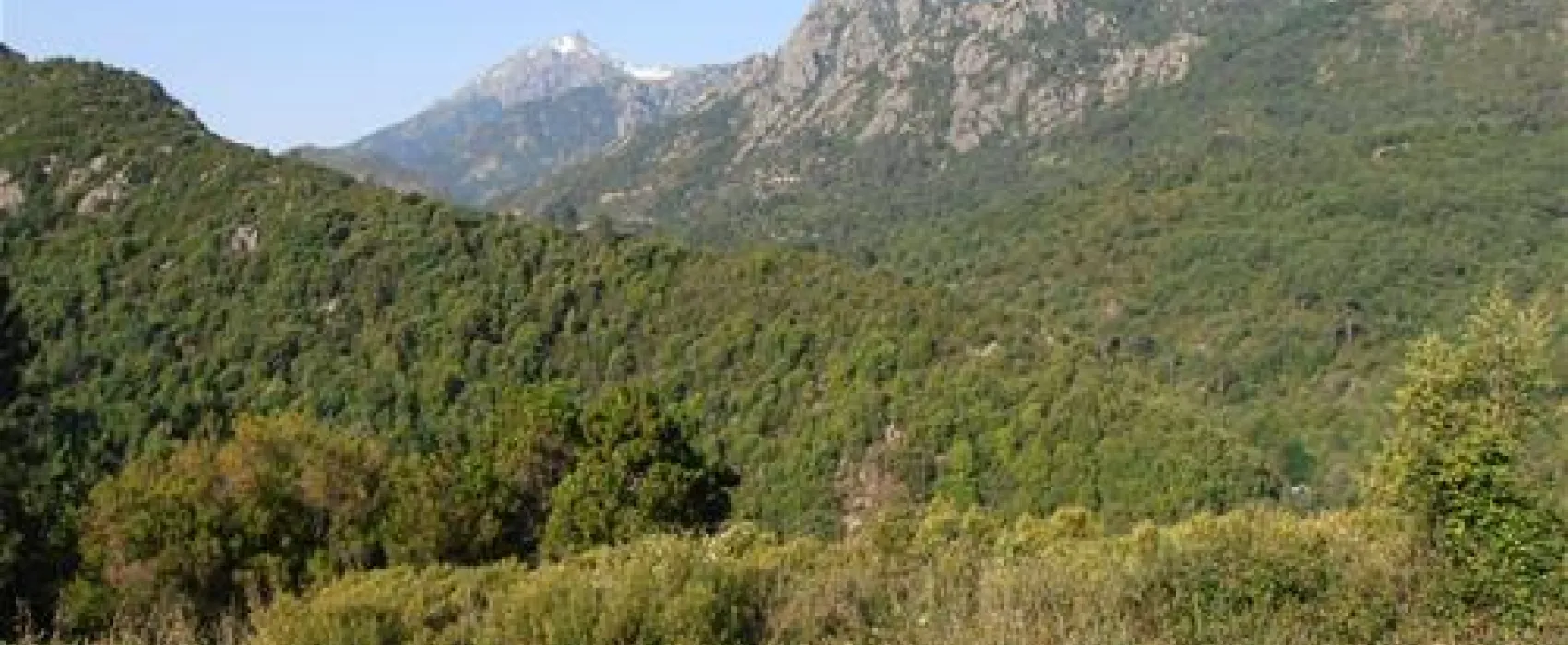 camping aire naturelle la ferme de Peridundellu