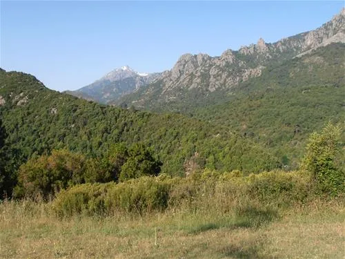 camping-aire-naturelle-la-ferme-de-peridundellu-venaco-4zdhw
