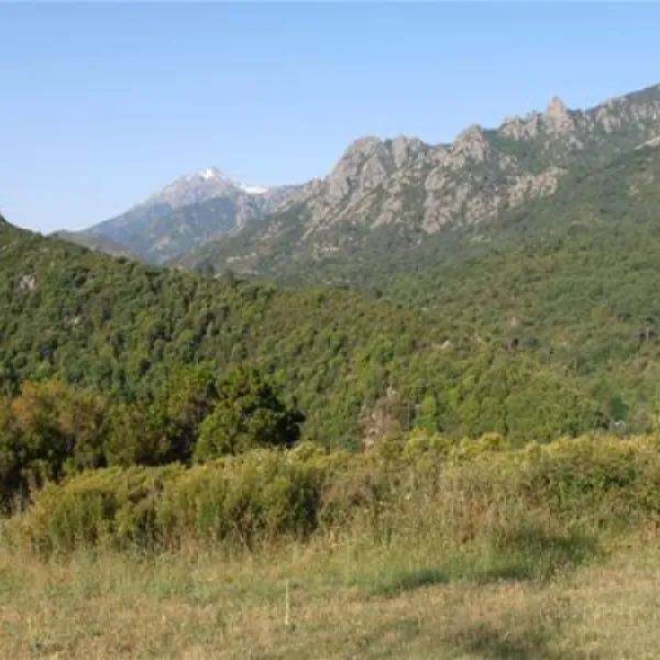 camping aire naturelle la ferme de Peridundellu