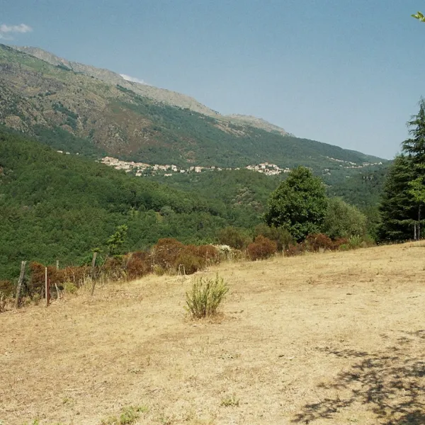 camping-aire-naturelle-la-ferme-de-peridundellu-venaco-8zxiz