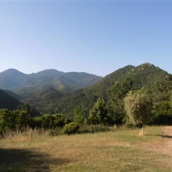 camping-aire-naturelle-la-ferme-de-peridundellu-venaco-aco5f