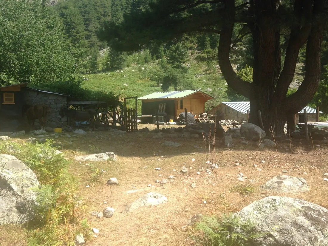 camping-aire-naturelle-la-ferme-de-peridundellu-venaco-fbku3