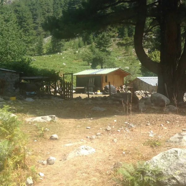 camping-aire-naturelle-la-ferme-de-peridundellu-venaco-fbku3